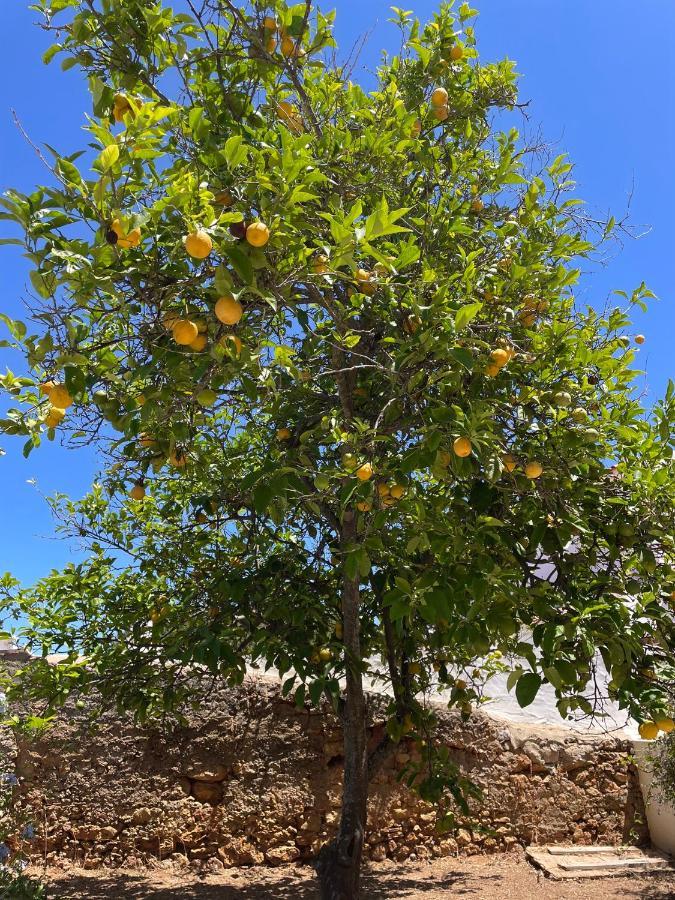 Quinta Da Layla Villa Olhão Eksteriør bilde