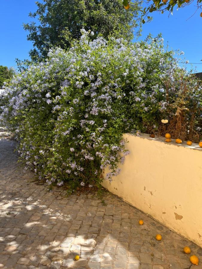 Quinta Da Layla Villa Olhão Eksteriør bilde