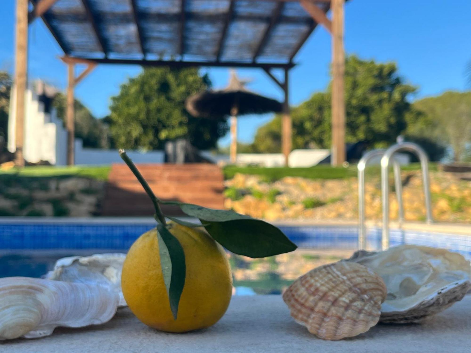 Quinta Da Layla Villa Olhão Eksteriør bilde